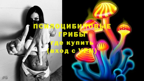 PSILOCYBIN Нязепетровск