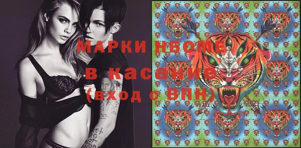 ПСИЛОЦИБИНОВЫЕ ГРИБЫ Няндома