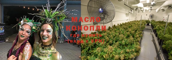 ПСИЛОЦИБИНОВЫЕ ГРИБЫ Няндома