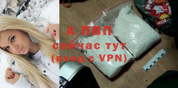 ПСИЛОЦИБИНОВЫЕ ГРИБЫ Няндома