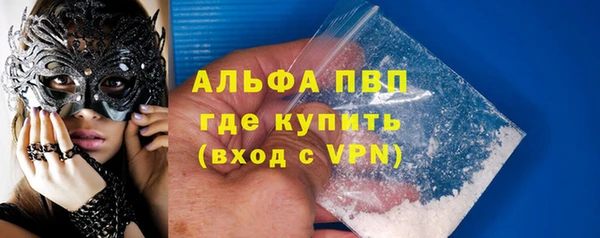 ПСИЛОЦИБИНОВЫЕ ГРИБЫ Няндома