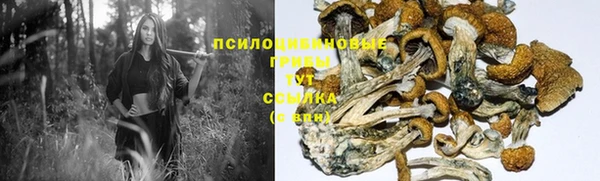 эйфоретик Нягань