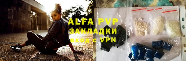 ПСИЛОЦИБИНОВЫЕ ГРИБЫ Няндома