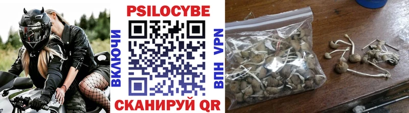 где купить наркоту  KRAKEN вход  darknet какой сайт  Аргун  Галлюциногенные грибы прущие грибы 