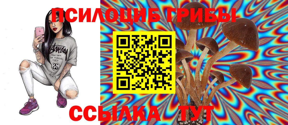 даркнет сайт  Аргун  Псилоцибиновые грибы прущие грибы 