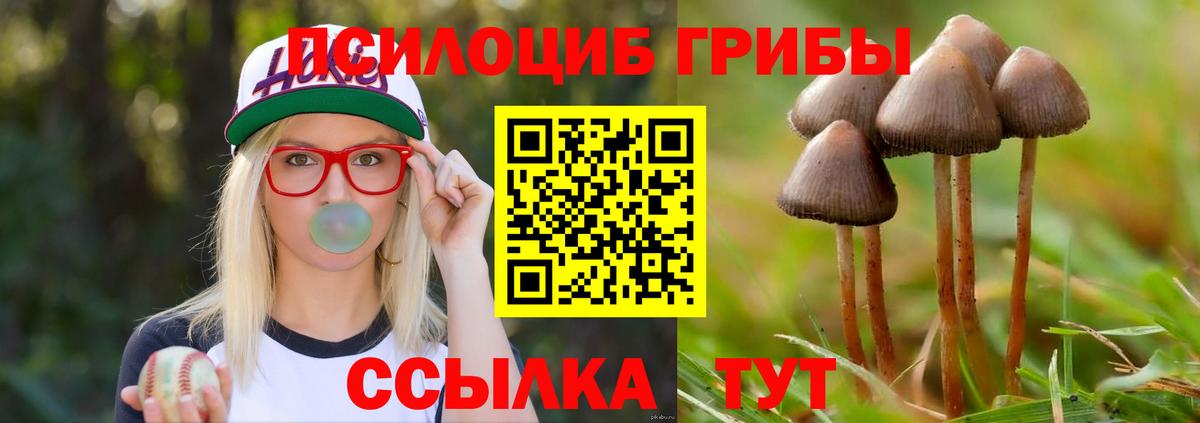 Галлюциногенные грибы ЛСД  Вход с VPN  Аргун 