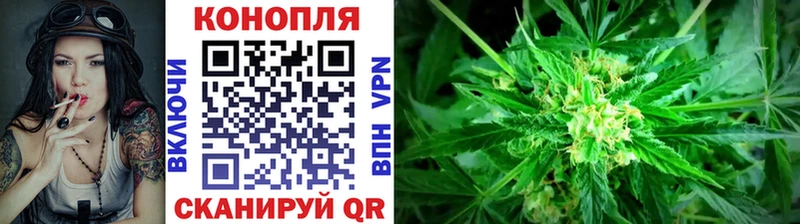 Канабис AK-47  закладка  MEGA tor  Аргун 